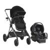 Ayrshire Black